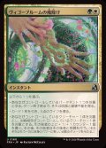 【JPN/FRA】ヴィゴーブルームの魔除け/Vigorbloom Charm［マルチ］『U』