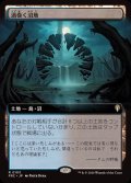 【JPN/FRC】渦巻く沼地/Turbulent Wetlands『拡張アート』