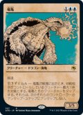 【JPN/AFR-BF】竜亀/Dragon Turtle 『R』 [青]【ショーケース】