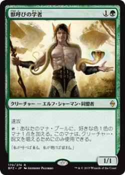 画像1: 【JPN/BFZ】獣呼びの学者/Beastcaller Savant 『R』