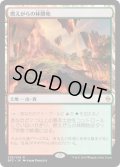 【JPN/BFZ】燃えがらの林間地/Cinder Glade 『R』