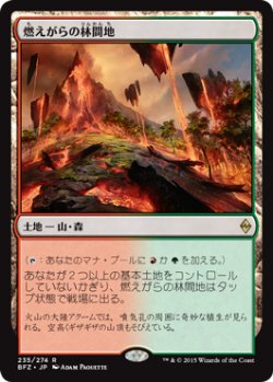 画像1: 【JPN/BFZ/FOIL★】燃えがらの林間地/Cinder Glade 