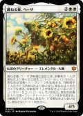 【JPN/BLB】跳ねる春、ベーザ/Beza, the Bounding Spring  [白]『M』  