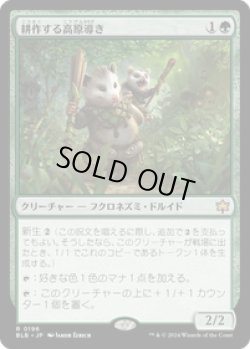 画像1: 【JPN/BLB】耕作する高原導き/Tender Wildguide  [緑] 『R』