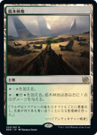 【JPN/BRO/Foil★】低木林地/Brushland [土地] 『R』