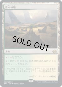 【JPN/BRO】低木林地/Brushland [土地] 『R』