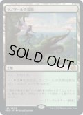 【JPN/BRO】ラノワールの荒原/Llanowar Wastes [土地] 『R』