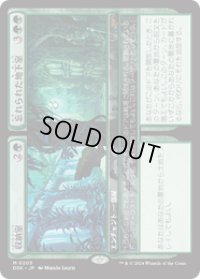 【JPN/DSK/FOIL★】収納室+忘れられた地下室/Walk-In Closet+Forgotten Cellar  [緑] 『M』