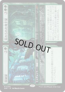 画像1: 【JPN/DSK/FOIL★】収納室+忘れられた地下室/Walk-In Closet+Forgotten Cellar  [緑] 『M』