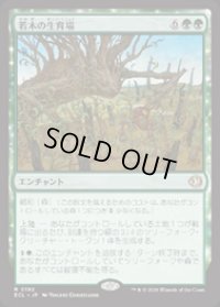 【JPN/ECL】若木の生育場/Sapling Nursery [緑] 『R』