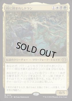 画像1: 【JPN/ELC】時に囲まれしドラン/Doran, Besieged by Time [マルチ] 『R』