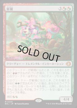 画像1: 【JPN/ELC】鮮麗/Vibrance [マルチ] 『M』