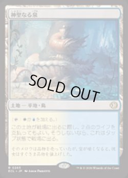 画像1: 【JPN/ELC】神聖なる泉/Hallowed Fountain [土地] 『R』