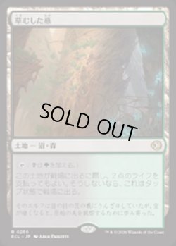 画像1: 【JPN/ELC】草むした墓/Overgrown Tomb [土地] 『R』