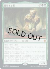 【JPN/ELD/FOIL★】探索する獣/Questing Beast 『M』 [緑]【プロモパック】