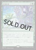 【JPN/EOE/FOIL★】荷役区域/Loading Zone [緑] 『R』