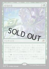 【JPN/EOE/FOIL★】荷役区域/Loading Zone [緑] 『R』