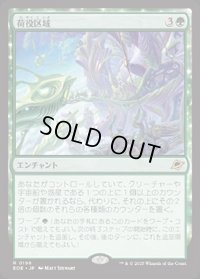 【JPN/EOE/FOIL★】荷役区域/Loading Zone [緑] 『R』