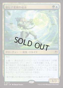 画像1: 【JPN/EOE/FOIL★】遺伝子変異の成虫/Genemorph Imago [マルチ] 『R』