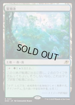 画像1: 【JPN/EOE/FOIL★】繁殖池/Breeding Pool [土地] 『R』