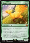 【JPN/FIN】旅するチョコボ/Traveling Chocobo [緑] 『M』