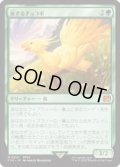 【JPN/FIN】旅するチョコボ/Traveling Chocobo [緑] 『M』