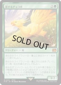 【JPN/FIN】旅するチョコボ/Traveling Chocobo [緑] 『M』