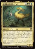 【JPN/FIN】桃源郷の探求者、チョコ/Choco, Seeker of Paradise [マルチ] 『R』