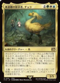 画像1: 【JPN/FIN】桃源郷の探求者、チョコ/Choco, Seeker of Paradise [マルチ] 『R』