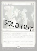 【JPN/FRA】芽吹く補充兵/Germinate Recruits［白］『R』