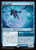 【JPN/FRA】変数の追跡者/Variable Chaser［青］『R』  