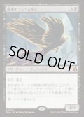 【JPN/FRA】夜光のフェニックス/Darklight Phoenix［黒］『M』