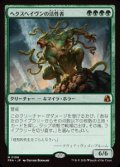 【JPN/FRA】ヘクスヘイヴンの活性者/Hexhaven Invigorator［緑］『M』  