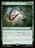 【JPN/FRA】遍在/Omnipresence［緑］『M』  