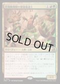 【JPN/FRA】任期無期限の繋操魔道士/Tenured Tethermage［マルチ］『R』