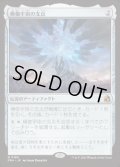 【JPN/FRA】模倣宇宙の支点/The Echoverse Fulcrum［茶］『M』