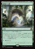 【JPN/FRA】乱動する梢/Roiling Canopy［土地］『R』  