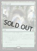 【JPN/FRA】乱動する梢/Roiling Canopy［土地］『R』