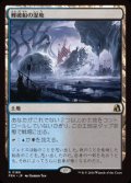 【JPN/FRA】難破船の湿地/Shipwreck Marsh［土地］『R』  