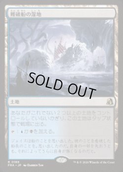 画像1: 【JPN/FRA】難破船の湿地/Shipwreck Marsh［土地］『R』
