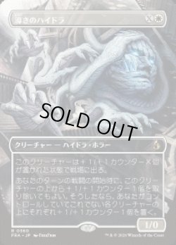 画像1: 【JPN/FRA】導きのハイドラ/Guiding Hydra［白］『R』