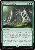 【JPN/HOB】森の入り口を抜けて/Through the Forest Gate［緑］『R』