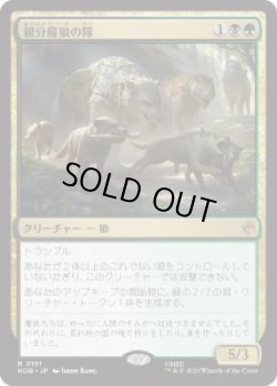 画像1: 【JPN/HOB】親分魔狼の隊/Chief Warg's Company［マルチ］『R』