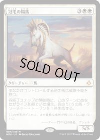 【JPN/HOU】冠毛の陽馬/Crested Sunmare 『M』 [白]