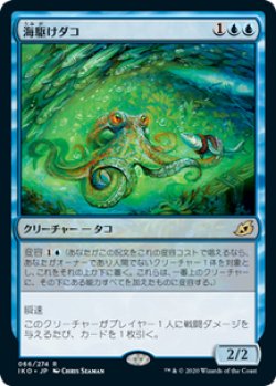 画像1: 【JPN/IKO】海駆けダコ/Sea-Dasher Octopus 『R』 [青]