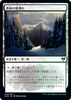 画像1: 【JPN/KHM】森林の地割れ/Woodland Chasm 『C』 [土地]