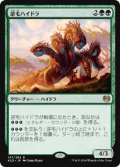 【JPN/KLD】逆毛ハイドラ/Bristling Hydra 『R』