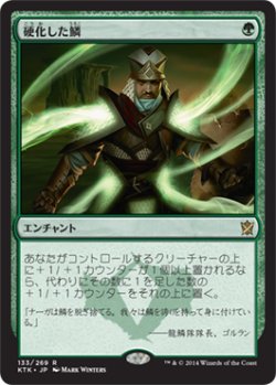 画像1: 【JPN/KTK】硬化した鱗/Hardened Scales