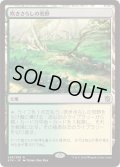 【JPN/KTK】吹きさらしの荒野/Windswept Heath