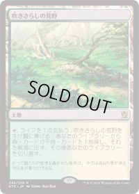 【JPN/KTK】吹きさらしの荒野/Windswept Heath